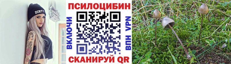 Псилоцибиновые грибы ЛСД  Владивосток 