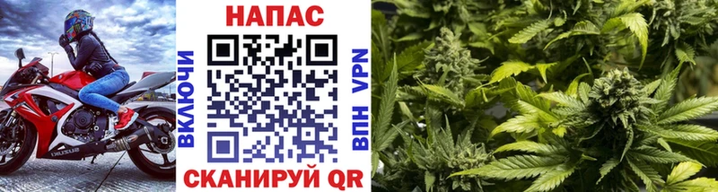 Каннабис индика  Владивосток 